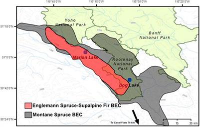 Paleoecological Investigation of Vegetation, Climate and Fire History in, and Adjacent to, Kootenay National Park, Southeastern British Columbia, Canada